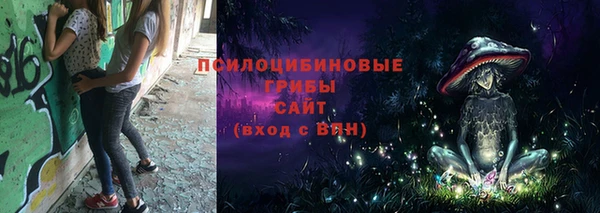 МДПВ Белокуриха