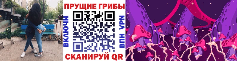 Псилоцибиновые грибы Psilocybine cubensis  площадка телеграм  Верхняя Тура  наркота 